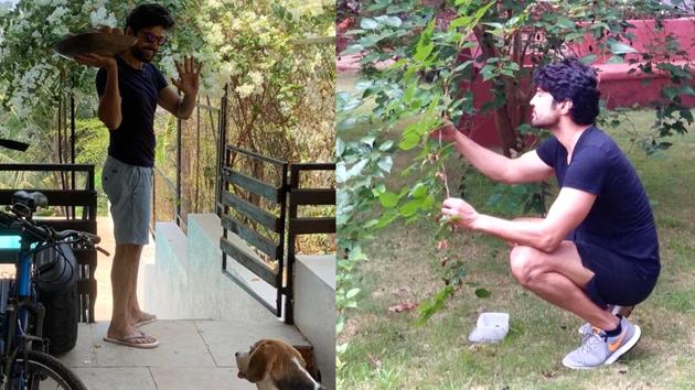 Rajeev Khandelwal spent the lockdown tending to his fruits and vegetables, which he grows at his farm in Goa. He even distributed the extra yield of chikoos and veggies among his neighbours.