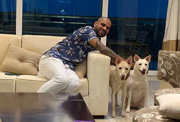 Shikhar Dhawan announced on Friday that he has adopted two dogs.