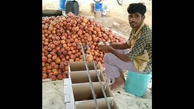 Pomegranates being sorted according to size.(Twitter)