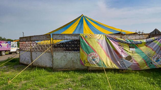 A view of a tent at the Rambo Circus in Airoli. From 300 circus companies a few decades ago, barely 10 or 11 survive. Circus manager Biju Nair feels thankful to the locals who made his troupe their own and helped them survive this crisis. And he has made them a solemn promise--a free show on the other side of the lockdown. (Mitesh Bhuvad / PTI)