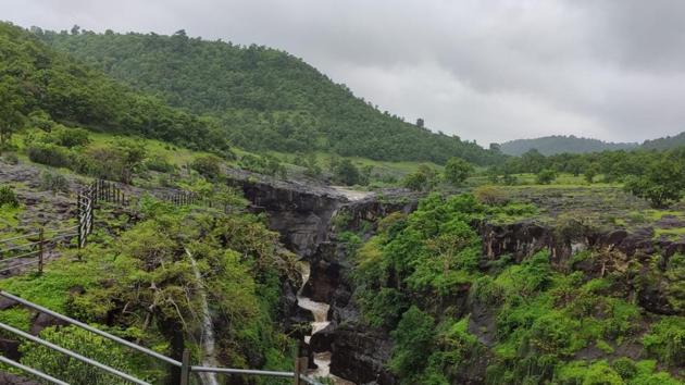 Tiger corridor in Chandrapur division. (WII) Tiger corridor in Chandrapur division. (WII)