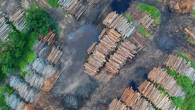 The loss of these benefits through ecosystem degradation -- including deforestation, land use change and agricultural intensification -- further compounds the problem, according to the researchers.(Pexels) The loss of these benefits through ecosystem degradation -- including deforestation, land use change and agricultural intensification -- further compounds the problem, according to the researchers.(Pexels)
