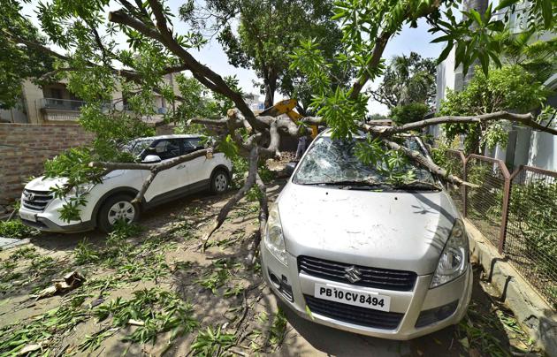 A damaged car in Tagore Nagar area, Ludhiana, on Monday after a tree fell on it due to strong winds. (GURPREET SINGH/HT) A damaged car in Tagore Nagar area, Ludhiana, on Monday after a tree fell on it due to strong winds. (GURPREET SINGH/HT)