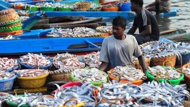 Recurring cyclonic storms and netting of huge quantities of non-edible fish items are main reasons for relatively low catch in 2019.(AFP File Photo)