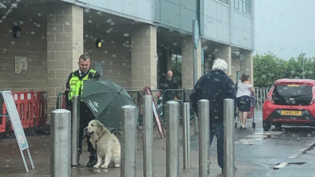The image shows the man shielding the dog from the rain.(Twitter/@MelGracie)