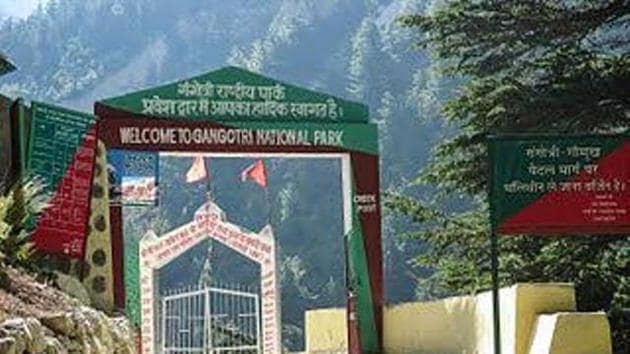 View of Gangotri National Park in Uttarkashi district in Uttarakhand.(Representative Photo/HT)