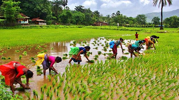 The Assam Government has come under fire from the opposition, students and critics who say that the provisions can be misused in the absence of checks and balances.(Representative image/HT PHOTO)