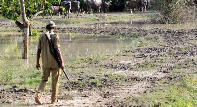 The ordinance is yet to be approved by Assam Governor Jagdish Mukhi. (ANI Photo / Representative Image) The ordinance is yet to be approved by Assam Governor Jagdish Mukhi. (ANI Photo / Representative Image)