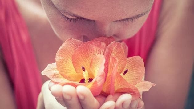 Representational Image (Unsplash) Representational Image (Unsplash)