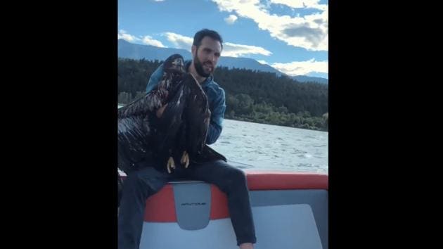 Brett Bacon holding the eagle he rescued. (Instagram/@bbacon88) Brett Bacon holding the eagle he rescued. (Instagram/@bbacon88)