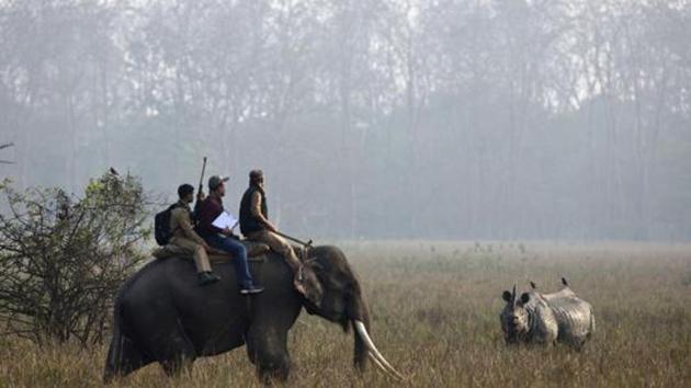 Assam Wildlife Sanctuary Upgraded Amid Row Over Coal Mining Hindustan Times Situated in karbi anglong autonomous district council, it is 25 kms away from golaghat and 65 kms from the kaziranga national park. assam wildlife sanctuary upgraded amid