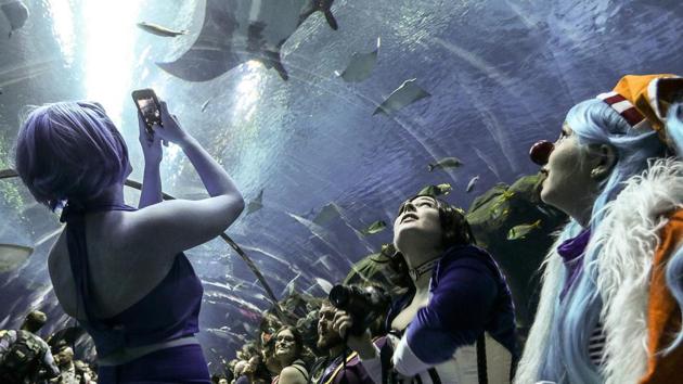 In this Saturday, Sept. 5, 2015, photo, three women in costumes look at sea life swimming above them during a private party held at the Georgia Aquarium as part of Dragon Con in Atlanta. (AP) In this Saturday, Sept. 5, 2015, photo, three women in costumes look at sea life swimming above them during a private party held at the Georgia Aquarium as part of Dragon Con in Atlanta. (AP)