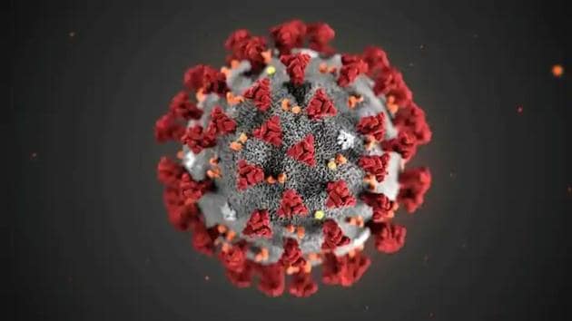 The ultrastructural morphology exhibited by the 2019 novel coronavirus (2019-nCoV), which was identified as the cause of an outbreak of respiratory illness first detected in Wuhan, China, is seen in an illustration released by the Centers for Disease Control and Prevention (CDC) in Atlanta, Georgia, US in January 2020.(Reuters File Photo)