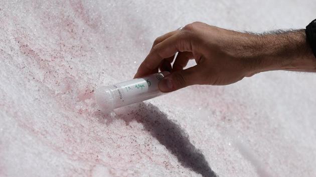 Di Mauro, who had previously studied the algae at the Morteratsch glacier in Switzerland told AFP that, “The alga is not dangerous, it is a natural phenomenon that occurs during the spring and summer periods in the middle latitudes but also at the Poles.” (Miguel Medina / AFP)