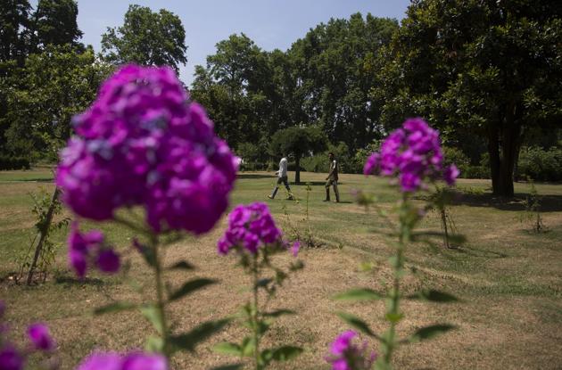 Visitors walks inside Mughal Garden on the outskirts of Srinagar, Kashmir, Wednesday, July 8, 2020. After four months of lockdown to control the spread of the coronavirus, officials in Kashmir, on Wednesday, ordered reopening of the famous Mughal Garden and public parks across the valley although COVID-19 cases continue to rise in the region. (AP)