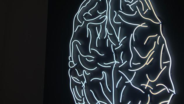 For the research, mice were presented with a memory game that gently stimulated their whiskers with a moving device. (Representational Image) (Unsplash) For the research, mice were presented with a memory game that gently stimulated their whiskers with a moving device. (Representational Image) (Unsplash)