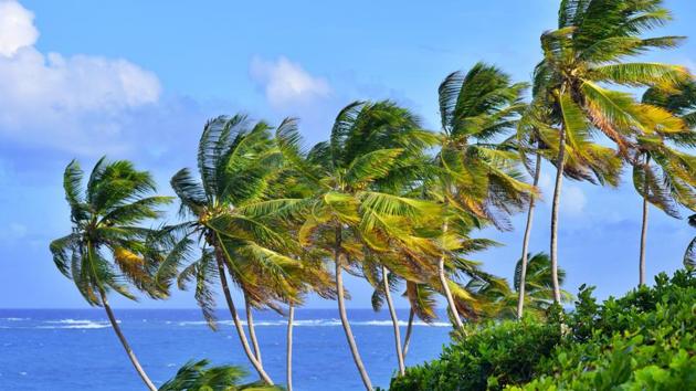 Feel in the cool vibes of summer with a workation in Barbados(Unsplash) Feel in the cool vibes of summer with a workation in Barbados(Unsplash)