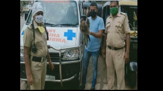 The post has received over 554 likes. (Twitter/@MumbaiPolice) The post has received over 554 likes. (Twitter/@MumbaiPolice)