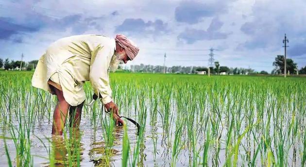 Earlier, the bank authorities had refused to disburse fresh loans, as they were seeking to recover interests accrued on loans, which were waived off by the Maharashtra government under the Mahatma Phule Karj Mukti Yojana. (File photo for representation) Earlier, the bank authorities had refused to disburse fresh loans, as they were seeking to recover interests accrued on loans, which were waived off by the Maharashtra government under the Mahatma Phule Karj Mukti Yojana. (File photo for representation)