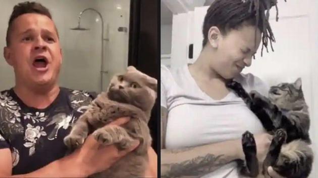 The image shows two of the cats who captured netizens’ attention this week.