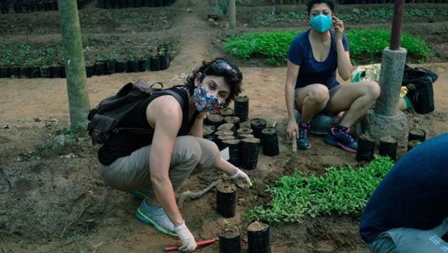 Volunteers gear up to prepare saplings for plantation during the monsoon season. The process includes uprooting tender saplings from the bed, and transferring them to the sapling bag. Volunteers gear up to prepare saplings for plantation during the monsoon season. The process includes uprooting tender saplings from the bed, and transferring them to the sapling bag.