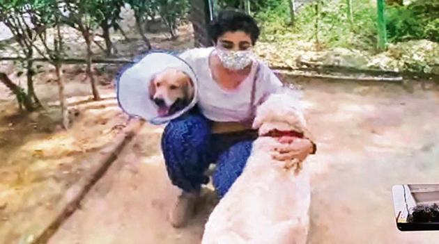 Leo was living in Delhi, Ghaziabad, and, until very recently, Greater Noida. He moved to his current address in Gurugram just 10 days back. He is a dog who has been abandoned twice. Leo was living in Delhi, Ghaziabad, and, until very recently, Greater Noida. He moved to his current address in Gurugram just 10 days back. He is a dog who has been abandoned twice.