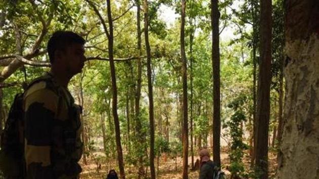 The seizures were made in the in the jungles of Rajnandgaon district.(Representative image/HT PHOTO)