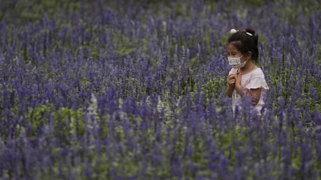 A child wearing a face mask to protect against the new coronavirus reacts as she visits the lavender farm in Beijing, China. (AP) A child wearing a face mask to protect against the new coronavirus reacts as she visits the lavender farm in Beijing, China. (AP)