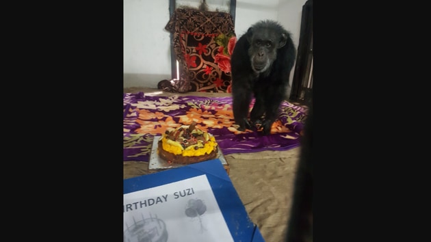 The image shows the birthday girl.(Twitter/@nehruzoopark1)