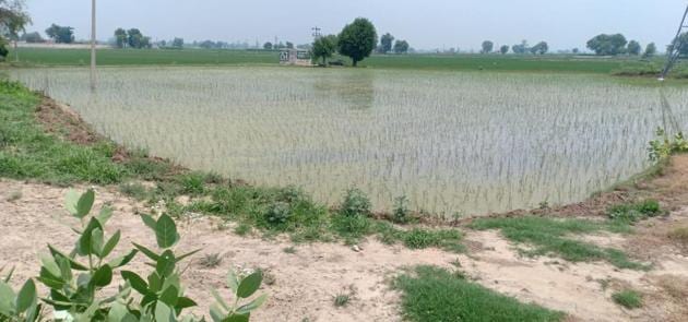 The land had been illegally occupied by multiple parties for several years. Proceedings have been initiated against encroachers. (HT Photo) The land had been illegally occupied by multiple parties for several years. Proceedings have been initiated against encroachers. (HT Photo)