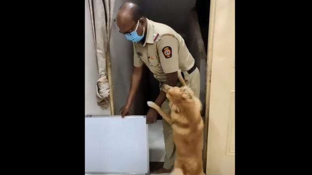 The dog jumps excitedly as it meets the policeman.(Instagram/@straydogfeederkandivalimumbai/)