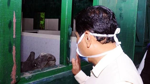 Assam Chief Minister Sarbananda Sonowal during his visit to the Centre for Wildlife Rehabilitation and Conservation in Borjuri village near the flood-affected Kaziranga National Park on July 16. Sonowal visited the submerged areas of the Kaziranga National Park via Mora Difalu river under Bagori Range and took stock of the animals there. (ANI)