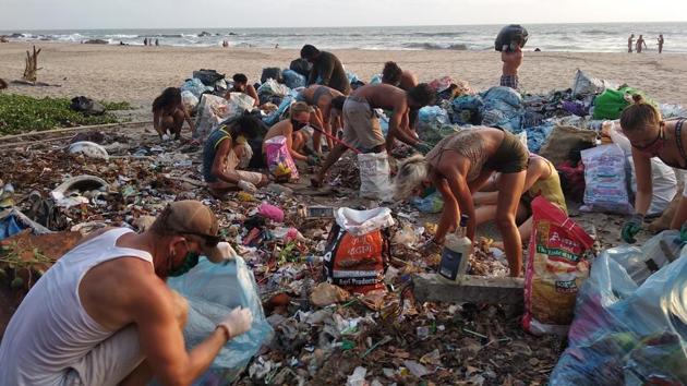 Foreigners Holed Up In Goa Are Lending A Hand In Cleaning Beaches Sowing Seeds Latest News