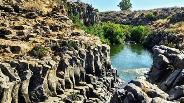 The rock art findings -- published in a recent article by Sharon and Berger in the journal Asian Archaeology -- display the animal drawings in this ancient culture for the first time. (Representational Image)(Instagram)