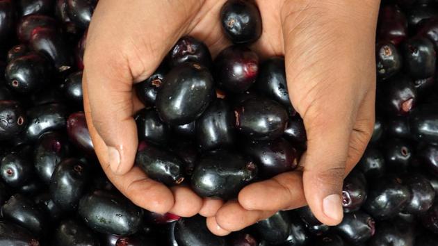 Ain’t nothing like seasonal fruits! Markets are filled with jamun, and we give you a low down on which other fruits must be in your basket when you shop next. Ain’t nothing like seasonal fruits! Markets are filled with jamun, and we give you a low down on which other fruits must be in your basket when you shop next.