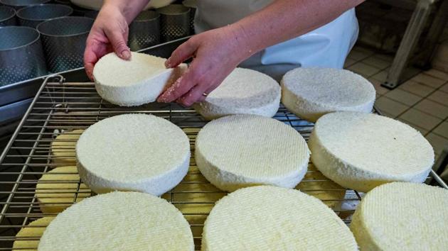 Laura Vaxelaire salts munster cheeses inside her cheese-making plant in Saulxures-sur-Moselotte on July 17. According to French daily THE LOCAL, Le Confiné has joined the league of France’s best-known cheeses like Roquefort cheese which was also invented by accident. (Jean Christophe Verhaegen / AFP) Laura Vaxelaire salts munster cheeses inside her cheese-making plant in Saulxures-sur-Moselotte on July 17. According to French daily THE LOCAL, Le Confiné has joined the league of France’s best-known cheeses like Roquefort cheese which was also invented by accident. (Jean Christophe Verhaegen / AFP)