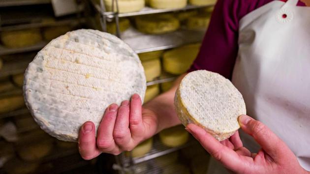 Laura shows her new cheese named “Le Confiné” inside her cheese making plant in Saulxures-sur-Moselotte on July 17. The cheese has a flavour midway between Munster and a Camembert variety. As it absorbs the flavour of raw milk and cellar’s flora, the texture becomes chalky inside and the rind gets mottled and greyish. (Jean Christophe Verhaegen / AFP) Laura shows her new cheese named “Le Confiné” inside her cheese making plant in Saulxures-sur-Moselotte on July 17. The cheese has a flavour midway between Munster and a Camembert variety. As it absorbs the flavour of raw milk and cellar’s flora, the texture becomes chalky inside and the rind gets mottled and greyish. (Jean Christophe Verhaegen / AFP)