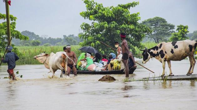 Villagers with their cattle move to a safer place from a flood-affected area at Jagari Tola, on July 22. No deaths have been reported in Bihar so far but there have been many cases of snake bites, National Disaster Relief Force (NDRF) Director-General (DG) SN Pradhan told ANI. (PTI) Villagers with their cattle move to a safer place from a flood-affected area at Jagari Tola, on July 22. No deaths have been reported in Bihar so far but there have been many cases of snake bites, National Disaster Relief Force (NDRF) Director-General (DG) SN Pradhan told ANI. (PTI)