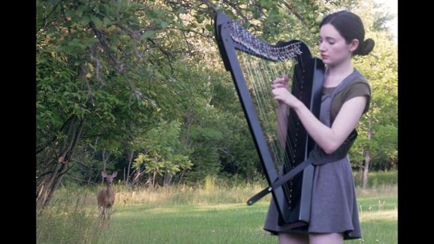 The image shows a harpist and deer. (Reddit/@Noomie90) The image shows a harpist and deer. (Reddit/@Noomie90)