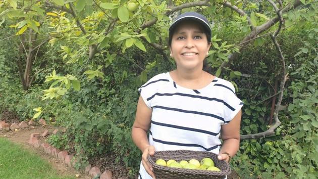 Meenakshi Kishore of Agra quit a career in finance and marketing to convert her family farm into a nutrition-packed food forest.(HT Photo)
