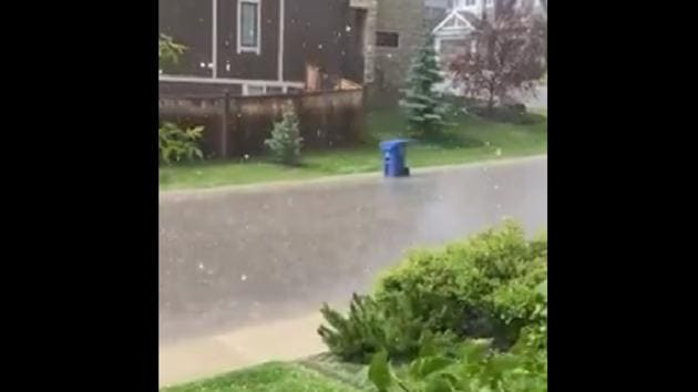 The video shows the dustbin floating from one part of a street to the other amid a hailstorm. (Twitter/@iamMaryKirk) The video shows the dustbin floating from one part of a street to the other amid a hailstorm. (Twitter/@iamMaryKirk)