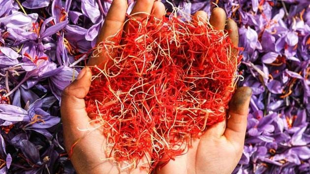 A Kashmiri woman shows saffron after being picked from flowers in Pampore, some 25 km south of Srinagar. (Photo by Waseem Andrabi / Hindustan Times)