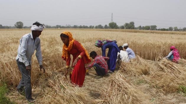 The Odisha government has no money to pay <span class='webrupee'>?</span>402 crore in cash assistance to least 16 lakh families this year.(representative image/HT PHOTO)