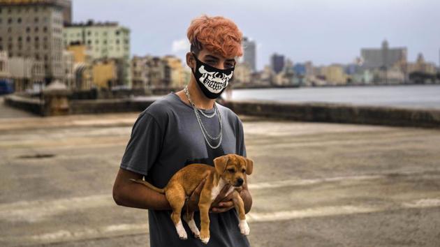 Poo Alejandro Padrun, 15, wearing a protective face masks as a precaution against the spread of the novel coronavirus (Covid-19) poses with his dog in the Malecon esplanade in Havana, Cuba on July 22. "Put it on, " Padrun said to the AP of his opinion on face masks. "We have to take care of ourselves, we have to take care of ourselves. " (Ramon Espinosa / AP) Poo Alejandro Padrun, 15, wearing a protective face masks as a precaution against the spread of the novel coronavirus (Covid-19) poses with his dog in the Malecon esplanade in Havana, Cuba on July 22. "Put it on, " Padrun said to the AP of his opinion on face masks. "We have to take care of ourselves, we have to take care of ourselves. " (Ramon Espinosa / AP)