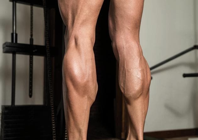 calf muscles