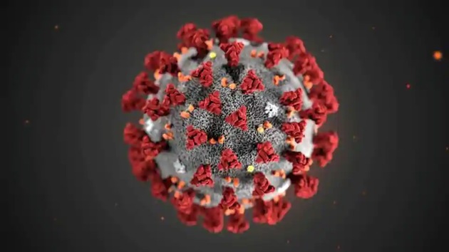 According to the researchers, deciphering the 3D structure of nsp16 paves the way for the design of new drugs against the novel coronavirus SARS-CoV-2, and other emerging coronavirus infections. (File Photo) According to the researchers, deciphering the 3D structure of nsp16 paves the way for the design of new drugs against the novel coronavirus SARS-CoV-2, and other emerging coronavirus infections. (File Photo)