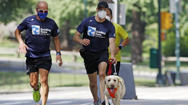 why do guide dogs walk on the left