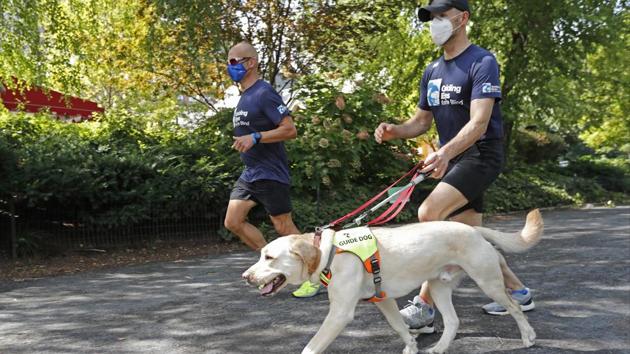 how seeing eye dogs help the blind