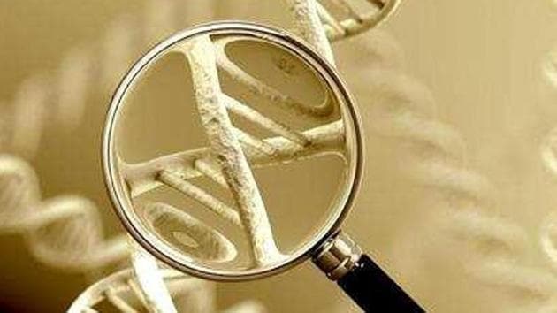 The Chinese government has denied the existence of any such program. (Shutterstock) The Chinese government has denied the existence of any such program. (Shutterstock)