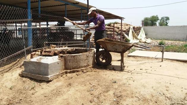 Biomass sources such as agricultural residue, cattle dung, sugarcane press mud, municipal solid waste and waste from sewage treatment plants is used to produce bio-gas through the process of anaerobic decomposition.(HT file photo)